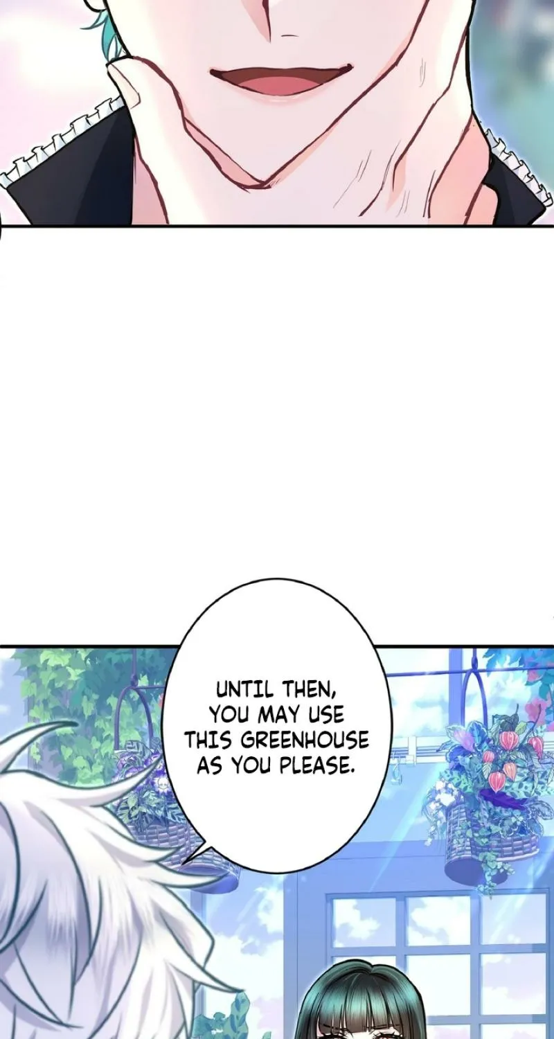 The Forbidden Girl Chapter 79 - page 41