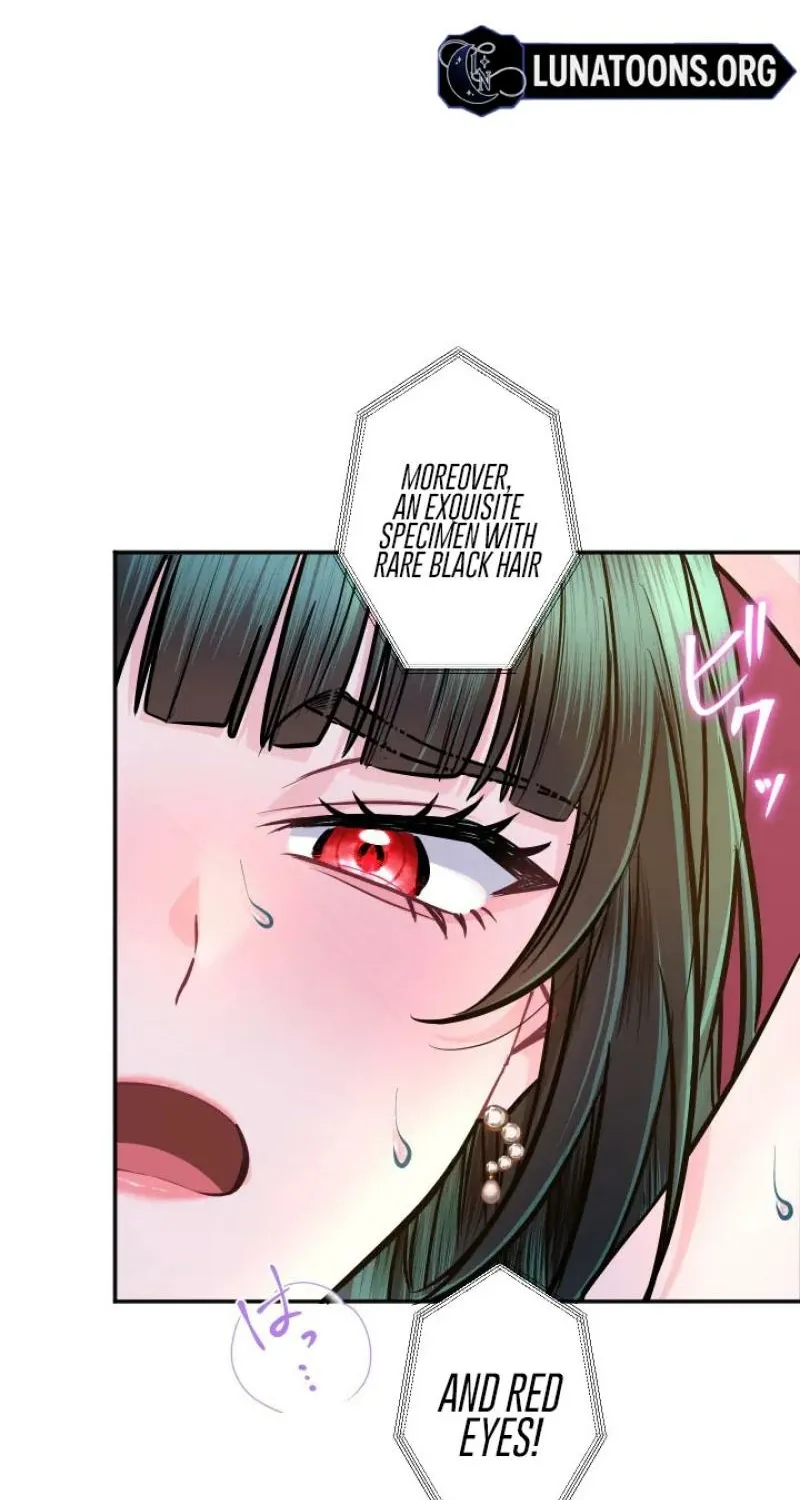 The Forbidden Girl Chapter 89 - page 58