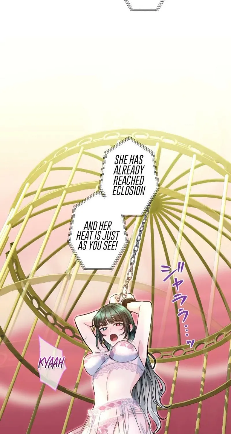 The Forbidden Girl Chapter 89 - page 59