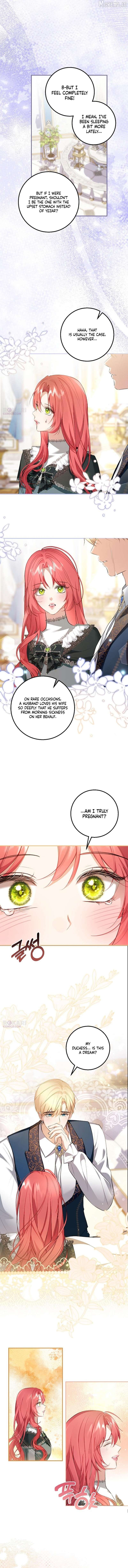 Sub-Male Lead, You Said It Was A Contract Marriage? Chapter 51 - page 11