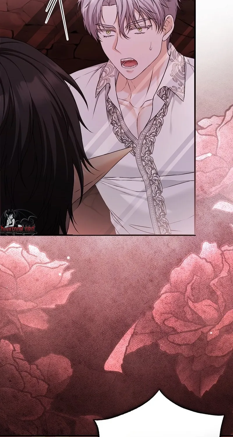 The Countess’s Secret Chapter 29 - page 17