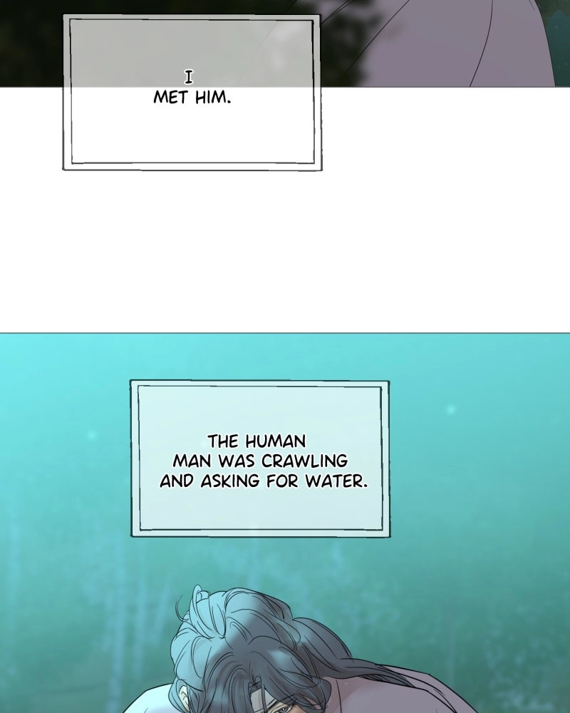 Shifting Tails Chapter 13 - page 3
