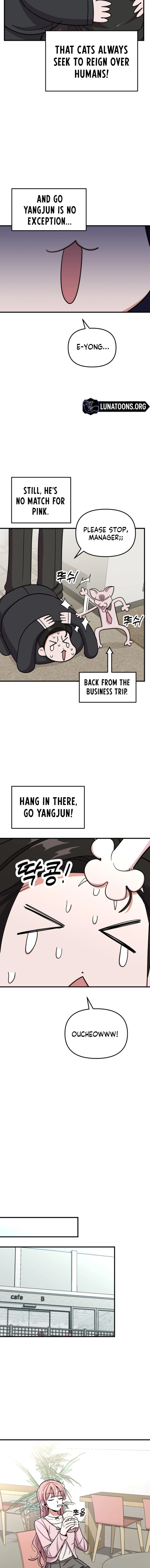 My Boyfriend Is a Cat Chapter 16 - page 6
