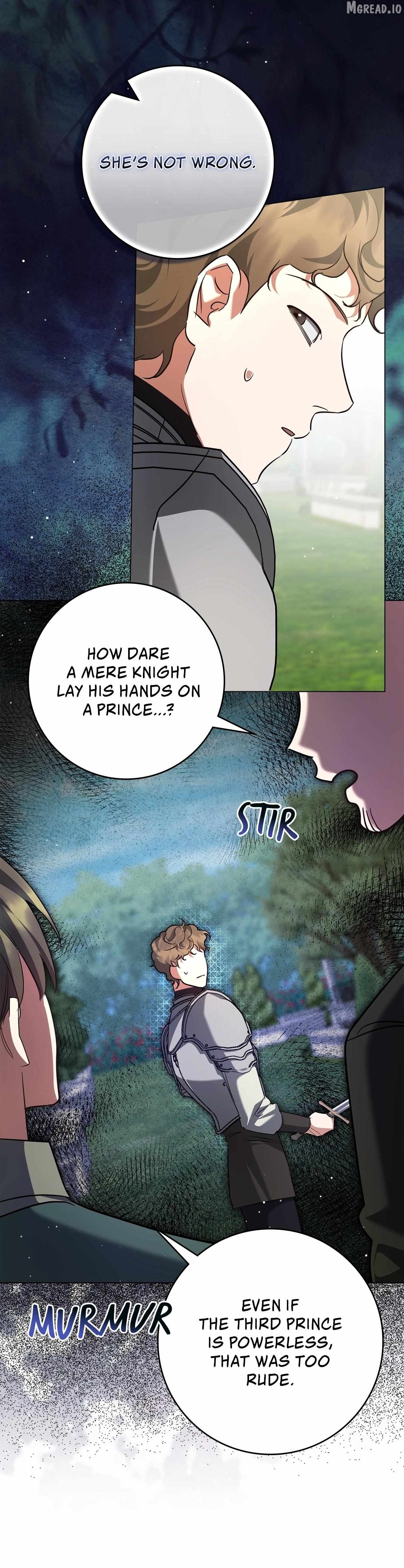 Once an Assassin, Now a Royal Nanny Chapter 18 - page 19