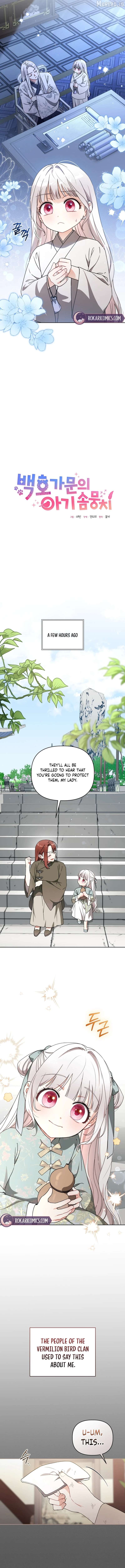 The White Tiger Clan's Baby Cotton Ball Chapter 11 - page 5