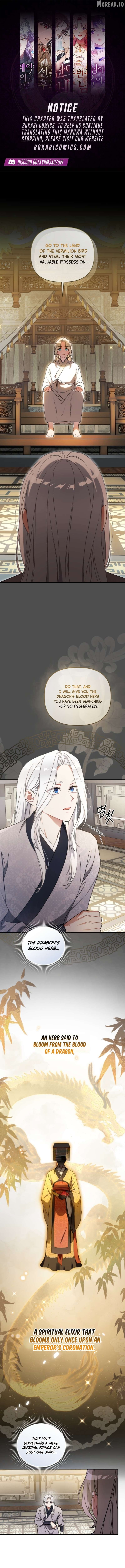 The White Tiger Clan's Baby Cotton Ball Chapter 8 - page 1