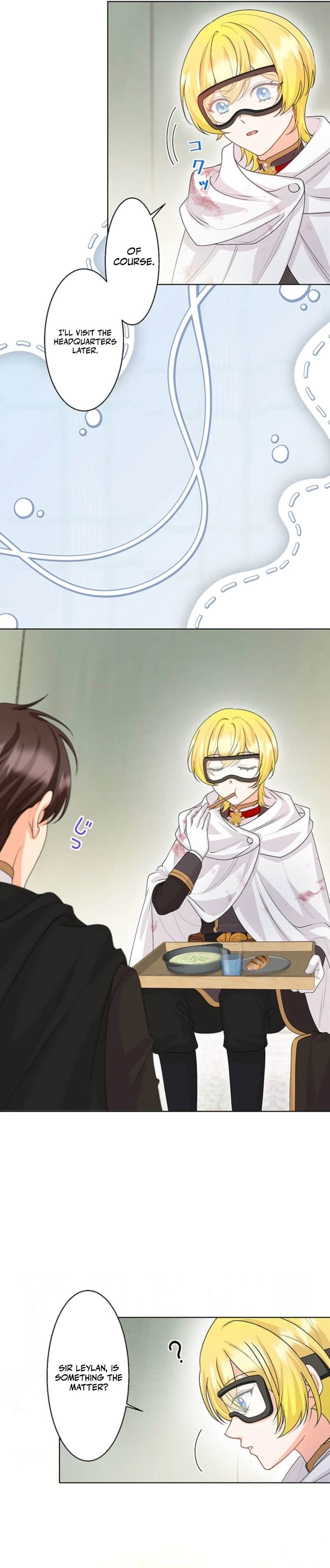 The Holy Sword Lady's Fangirl Life: I'll Protect My Beloved Knight Chapter 14 - page 23