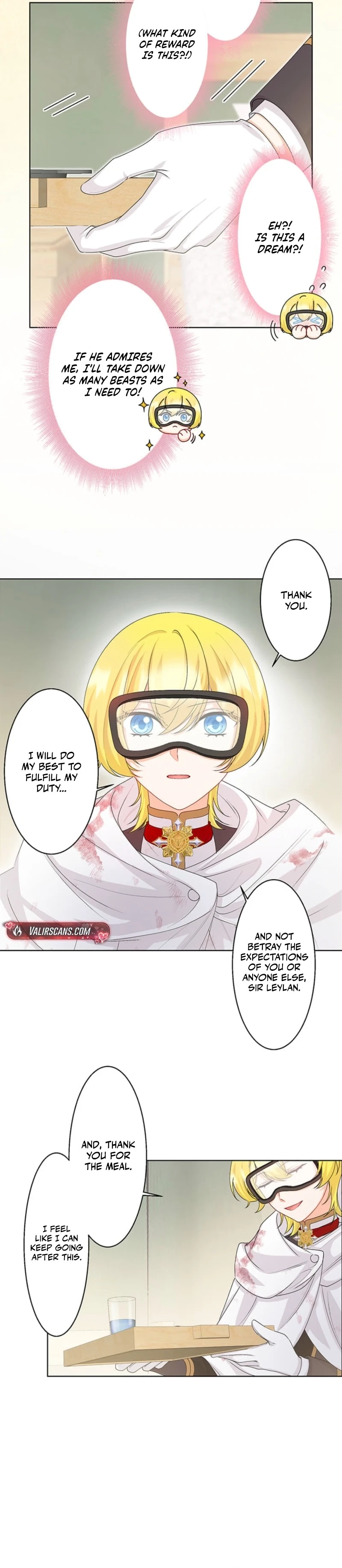 The Holy Sword Lady's Fangirl Life: I'll Protect My Beloved Knight Chapter 14 - page 25