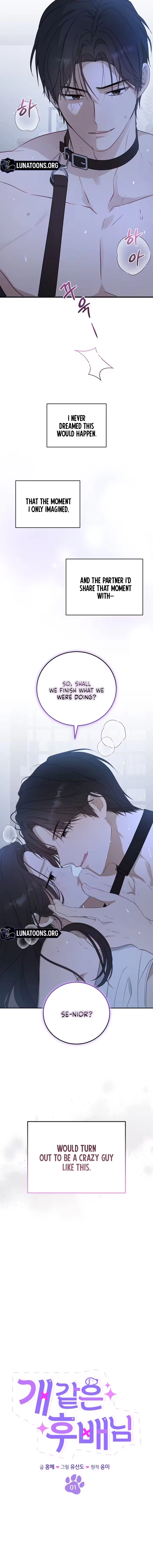 This Wretched Junior Chapter 1 - page 4