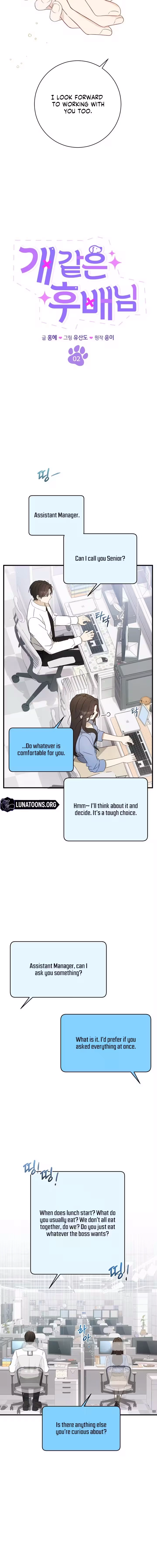 This Wretched Junior Chapter 2 - page 6