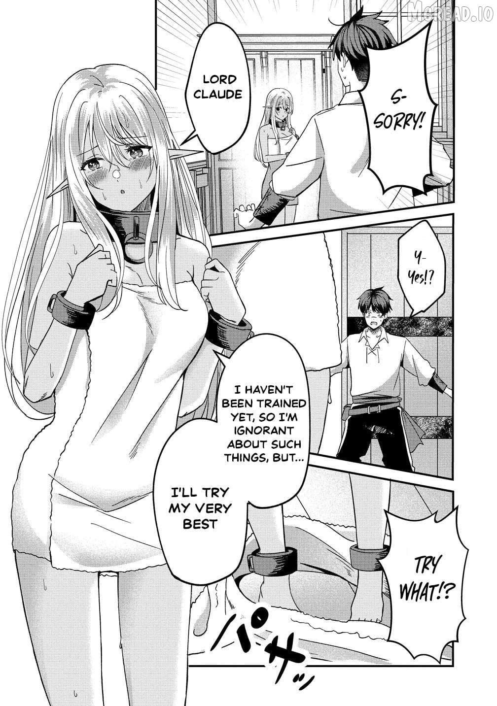Boy Meets Girl Starting with a Contract: Boss, a Dark Elf Girl Fell from the Sky! Chapter 2 - page 22