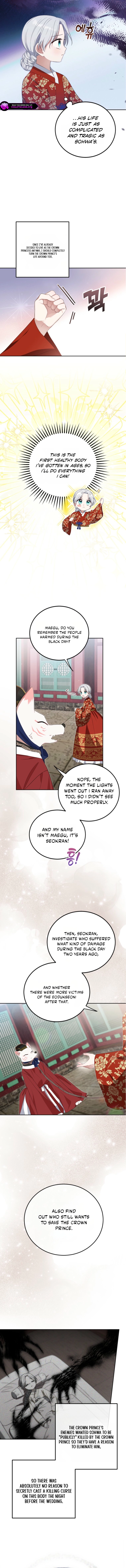 I Became the Terminally Ill Princess With No Tomorrow Chapter 11 - page 3