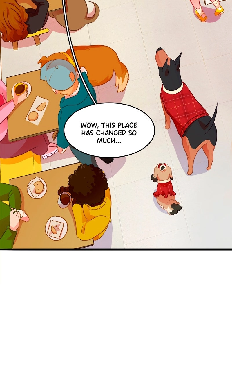 Love 4 a Walk Chapter 96 - page 48