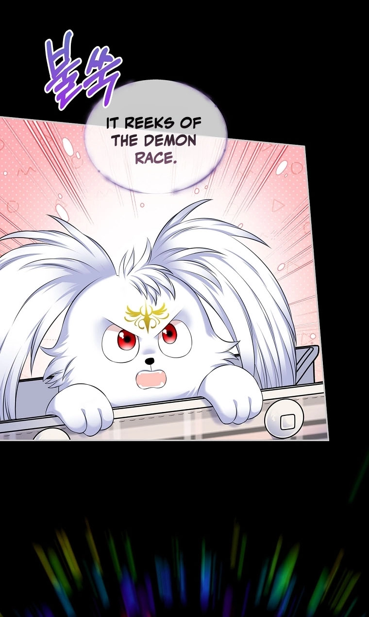 I Will Divorce the Female Lead’s Siscon Brother Chapter 106 - page 25