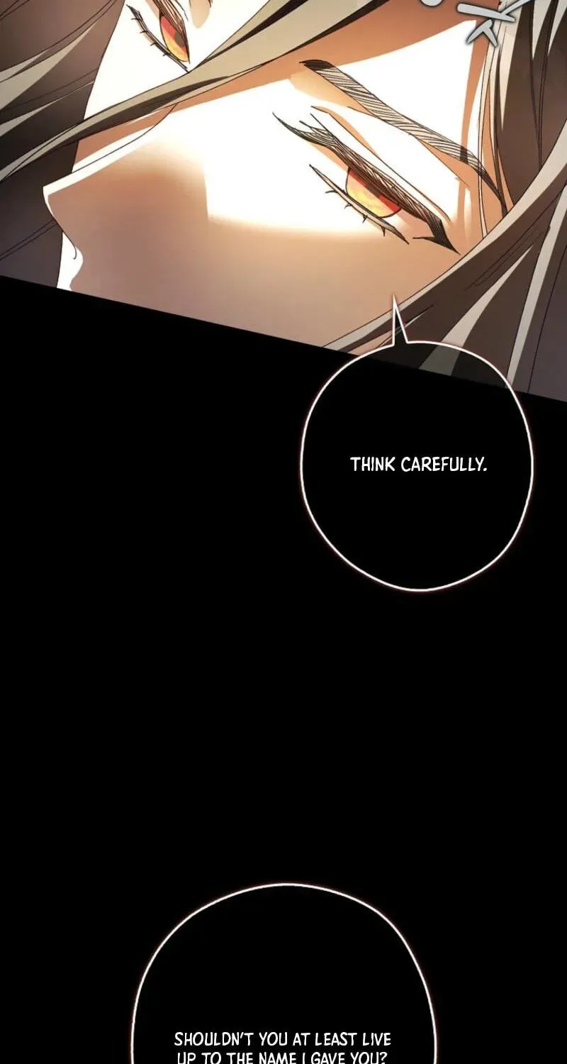 I, A Harvest Mouse, Will Take Cinderella Away Chapter 46 - page 81