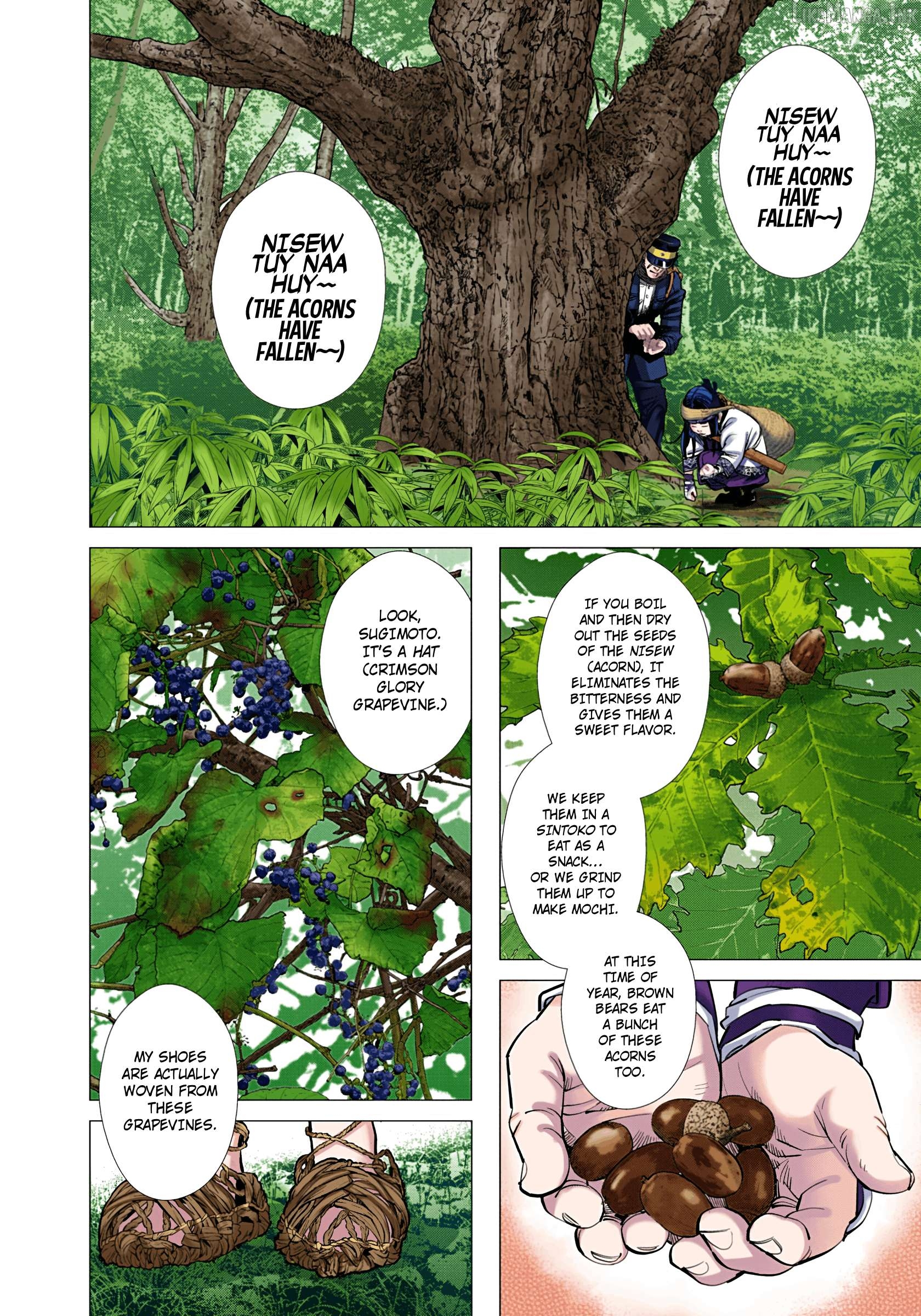 Golden Kamuy - Digital Colored Comics Chapter 125 - page 5