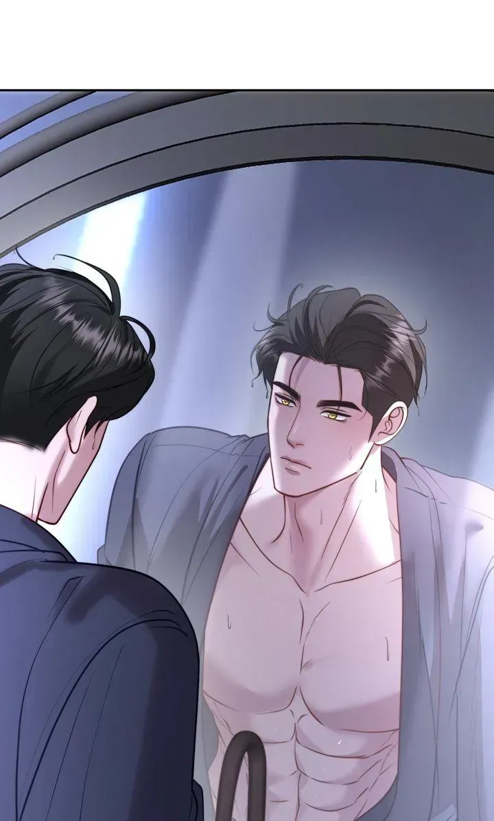 The Billionaire's Replacement Wife Chapter 85 - page 93