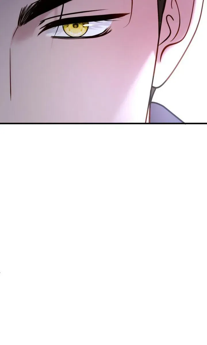 The Billionaire's Replacement Wife Chapter 85 - page 95
