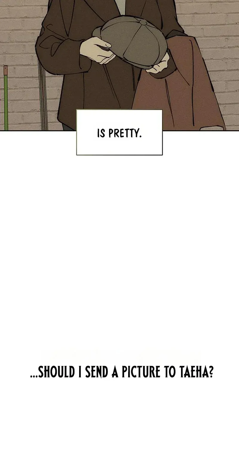 Tears on a Withered Flower Chapter 105 - page 85