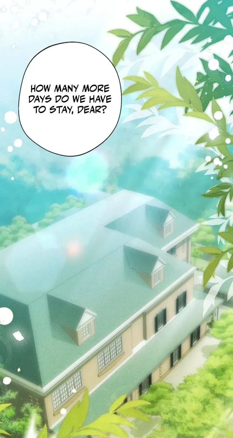 Why Are You Obsessed With Your Fake Wife? Chapter 105 - page 71