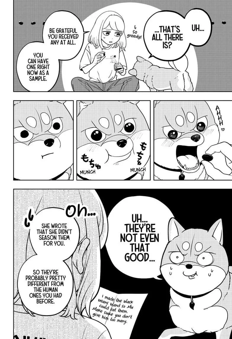 Shiba Inu Rooms Chapter 54 - page 18