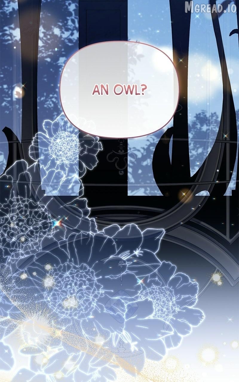 I Was The Acting Empress But I Spent The First Night With Him Chapter 63 - page 11