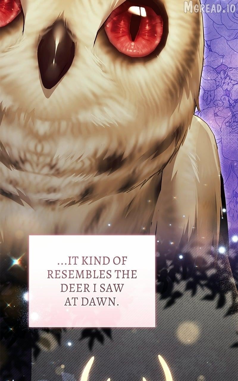 I Was The Acting Empress But I Spent The First Night With Him Chapter 63 - page 19