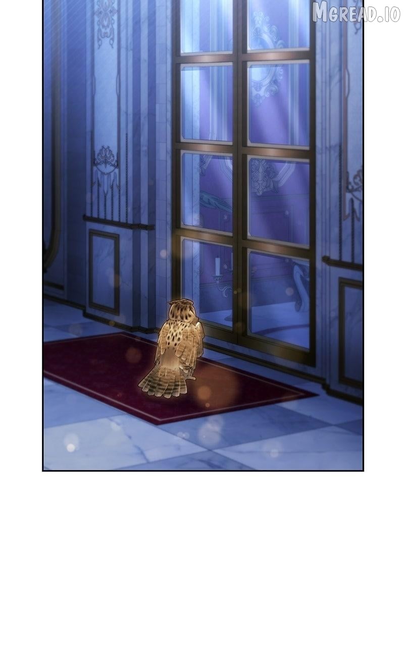 I Was The Acting Empress But I Spent The First Night With Him Chapter 63 - page 37