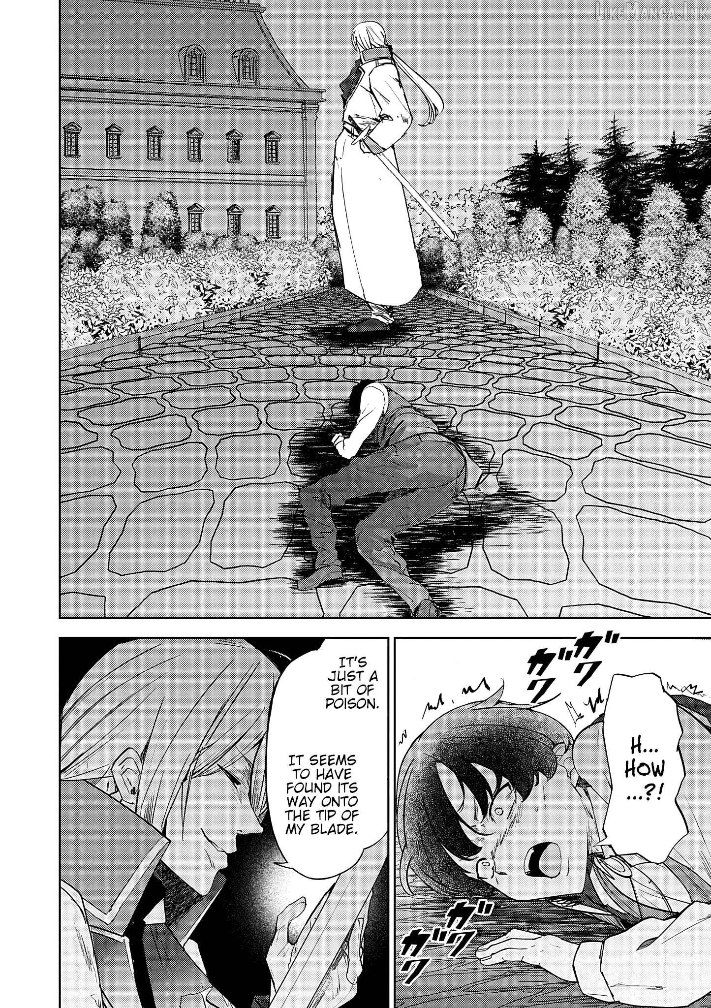 Hyouketsu Reijou-sama wo Follow Shitara, Mechamecha Dekiai Sareteshimatta Ken Chapter 13 - page 12