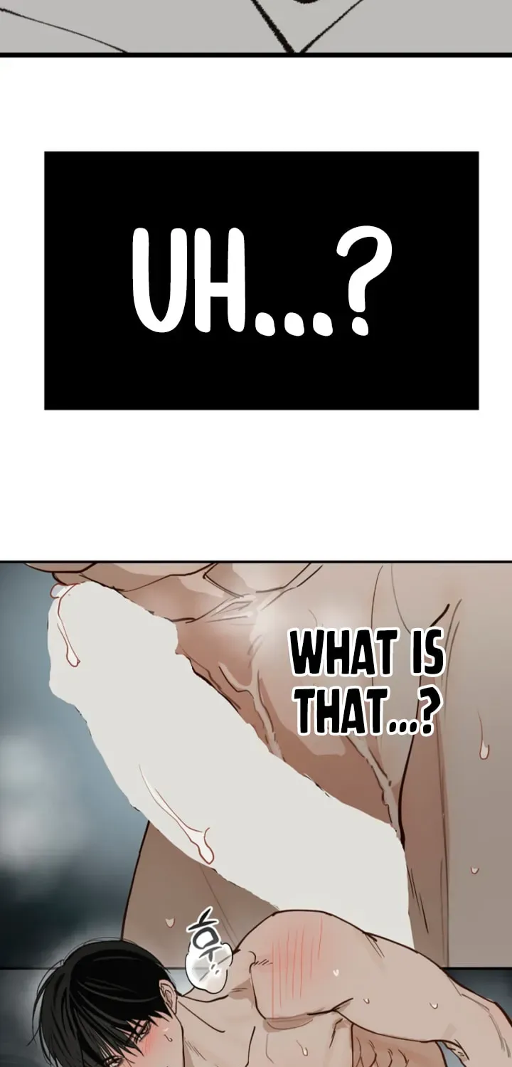Flowers Are Bait Chapter 49 - page 3