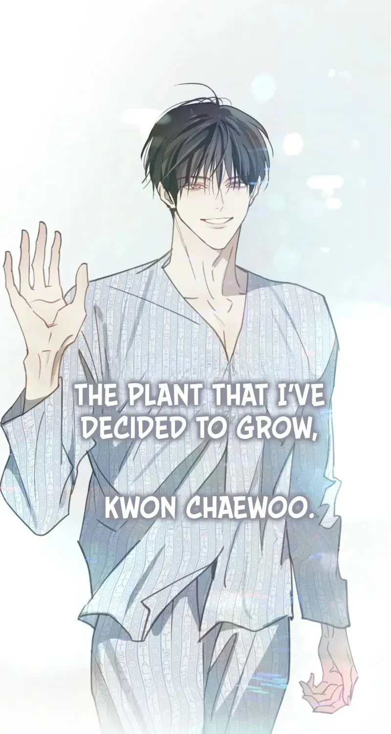 Flowers Are Bait Chapter 51 - page 31