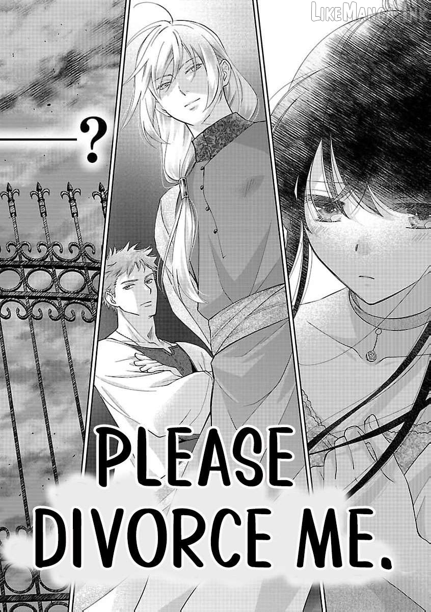 after three years of a loveless marriage… may i request a divorce my lord Chapter 17 - page 5