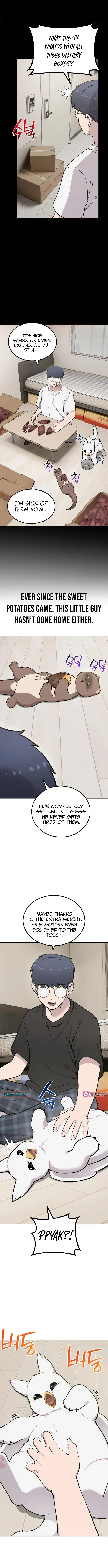 Hello, Griffin the Fluffy Bird! Chapter 47 - page 9