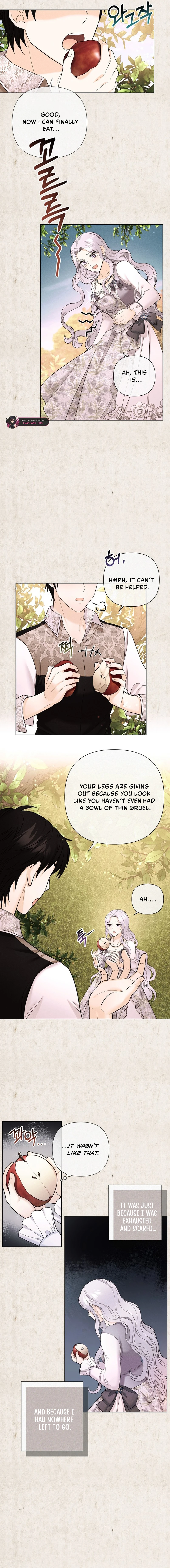 Secret Love Affair Between a Former Saint and a Dark Hero Chapter 21 - page 10