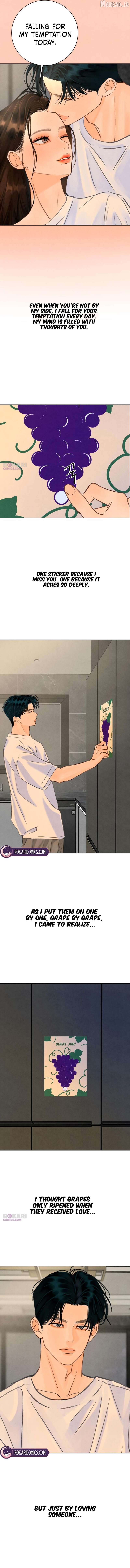 Before The grapes Ripen Chapter 42 - page 5