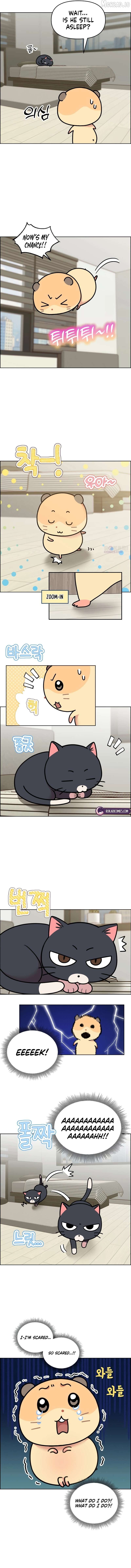 Meow-Meow Squeak-Squeak! Chapter 50 - page 4
