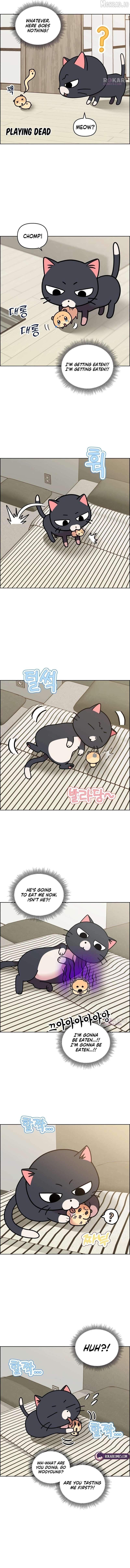 Meow-Meow Squeak-Squeak! Chapter 50 - page 5