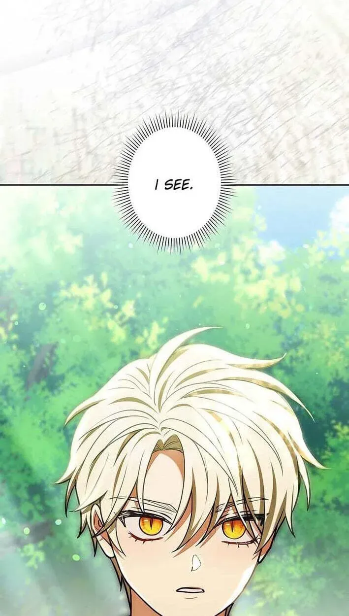 I Was Supposed to Be a Stalker Lady, but Somehow I'm Being Adored Instead Chapter 42 - page 15