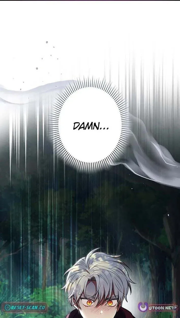 I Was Supposed to Be a Stalker Lady, but Somehow I'm Being Adored Instead Chapter 42 - page 2