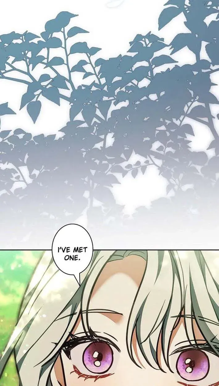 I Was Supposed to Be a Stalker Lady, but Somehow I'm Being Adored Instead Chapter 42 - page 37