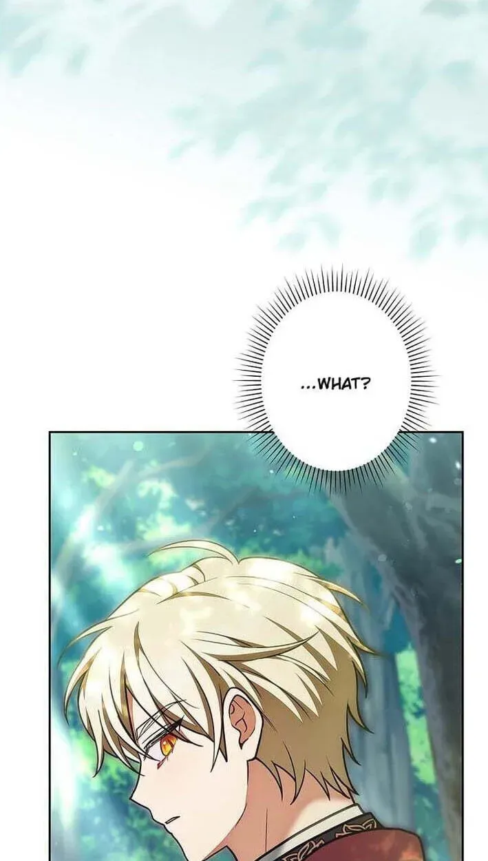 I Was Supposed to Be a Stalker Lady, but Somehow I'm Being Adored Instead Chapter 42 - page 44