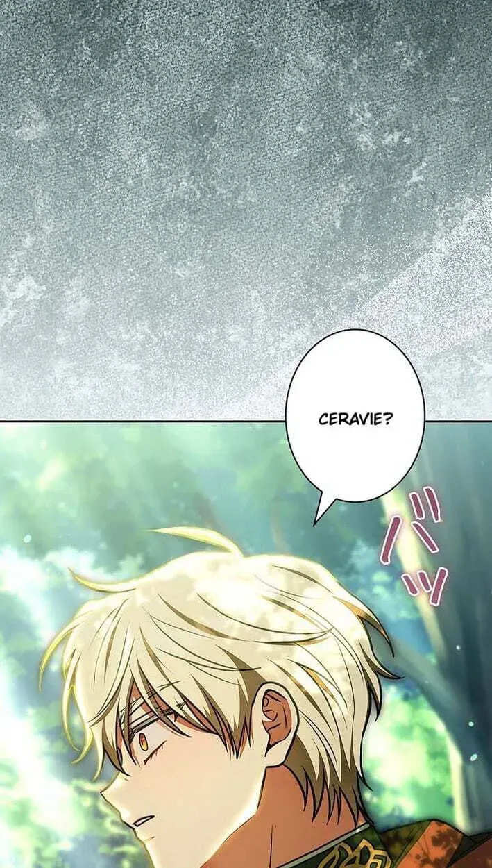 I Was Supposed to Be a Stalker Lady, but Somehow I'm Being Adored Instead Chapter 42 - page 5