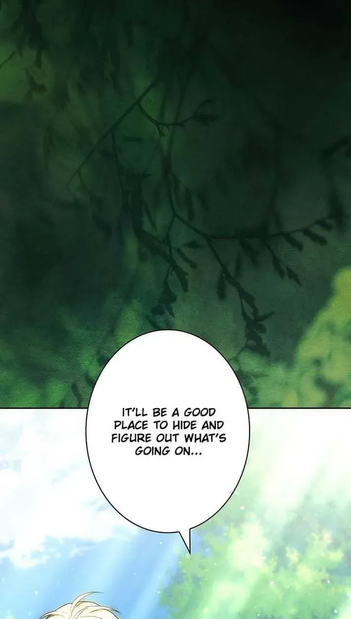 I Was Supposed to Be a Stalker Lady, but Somehow I'm Being Adored Instead Chapter 42 - page 53