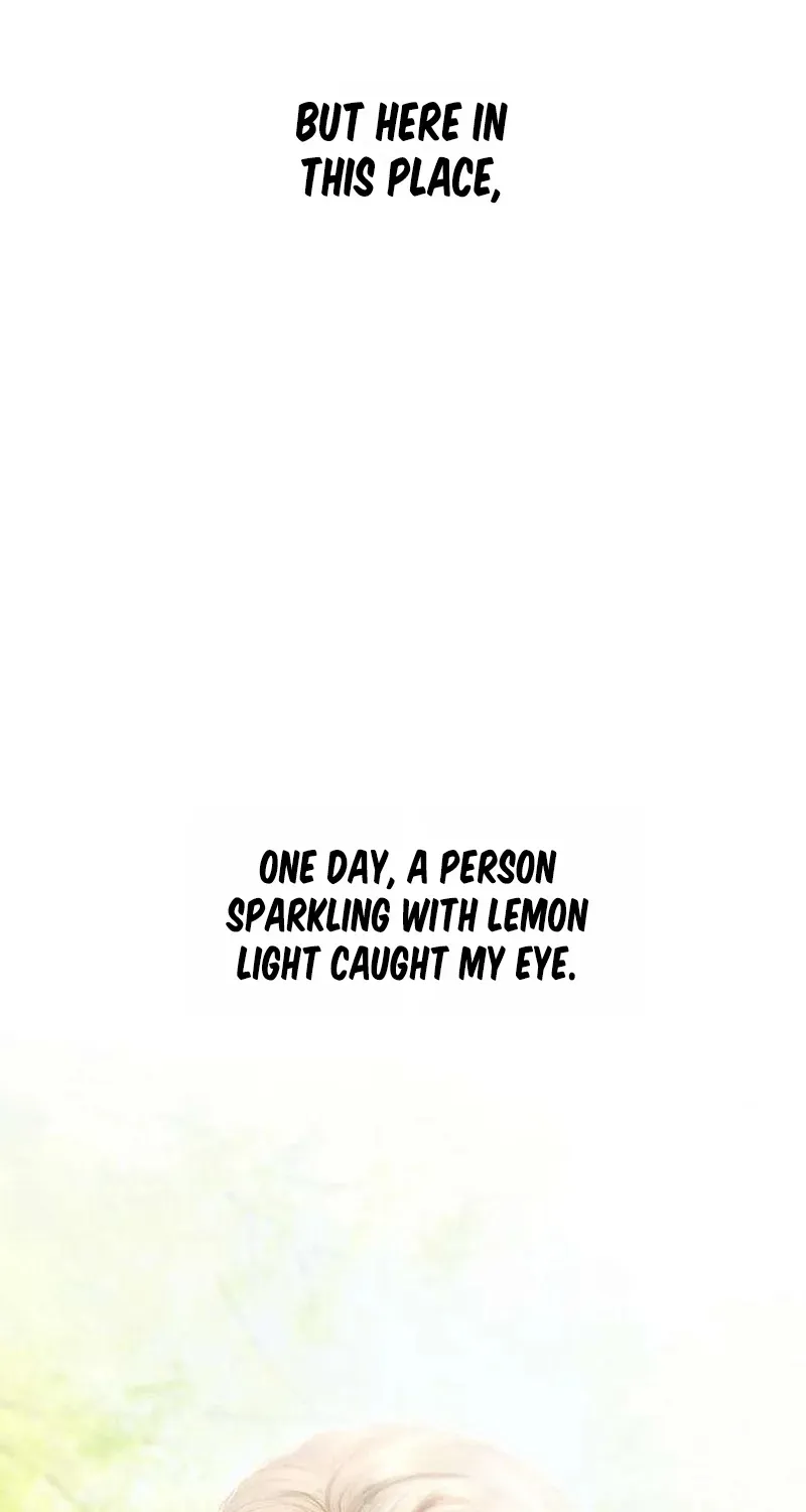 Lemon Tree Forest Chapter 18 - page 42