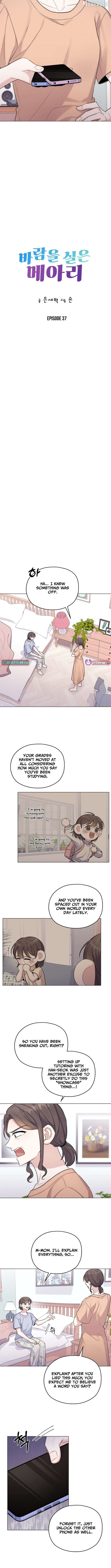 Wind-Laden Echo Chapter 37 - page 2