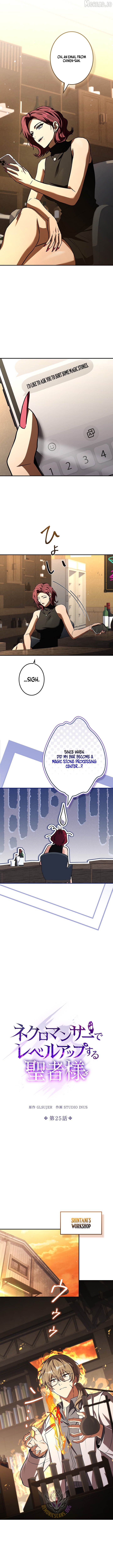 The Saint Who Levels Up as a Necromancer Chapter 25 - page 5
