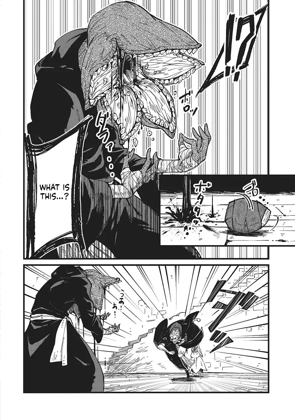 Shoho Mahou shika Tsukawanai nazo no Rou Mahoutsukai ga Tabi wo suru Chapter 4 - page 21