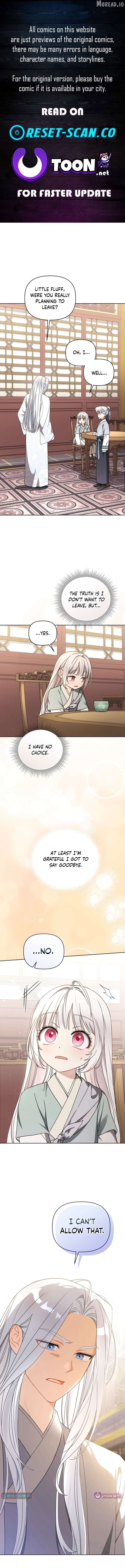 The White Tiger Clan's Baby Cotton Ball Chapter 24 - page 1
