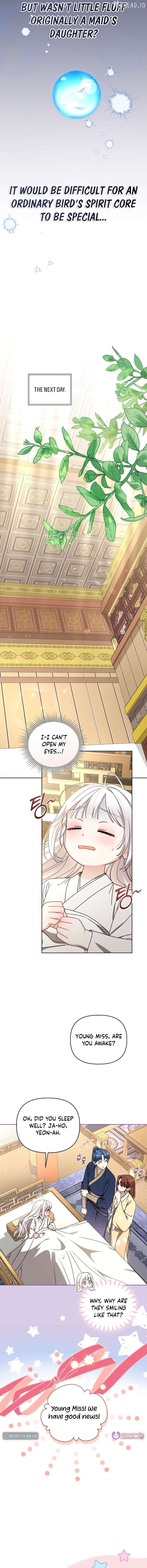 The White Tiger Clan's Baby Cotton Ball Chapter 24 - page 14
