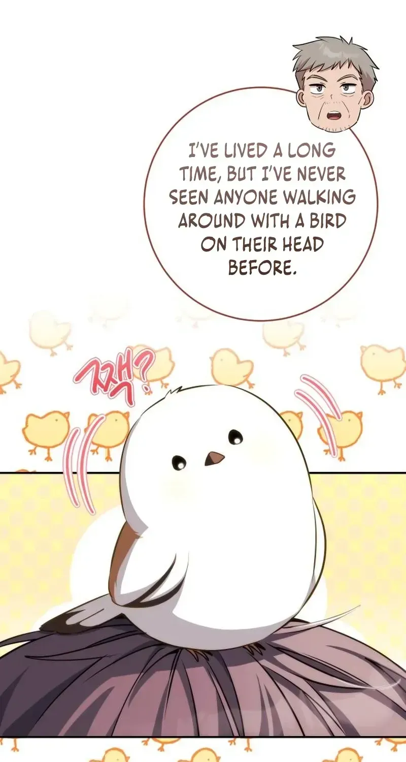 Devely’s Healing Time Chapter 5 - page 8